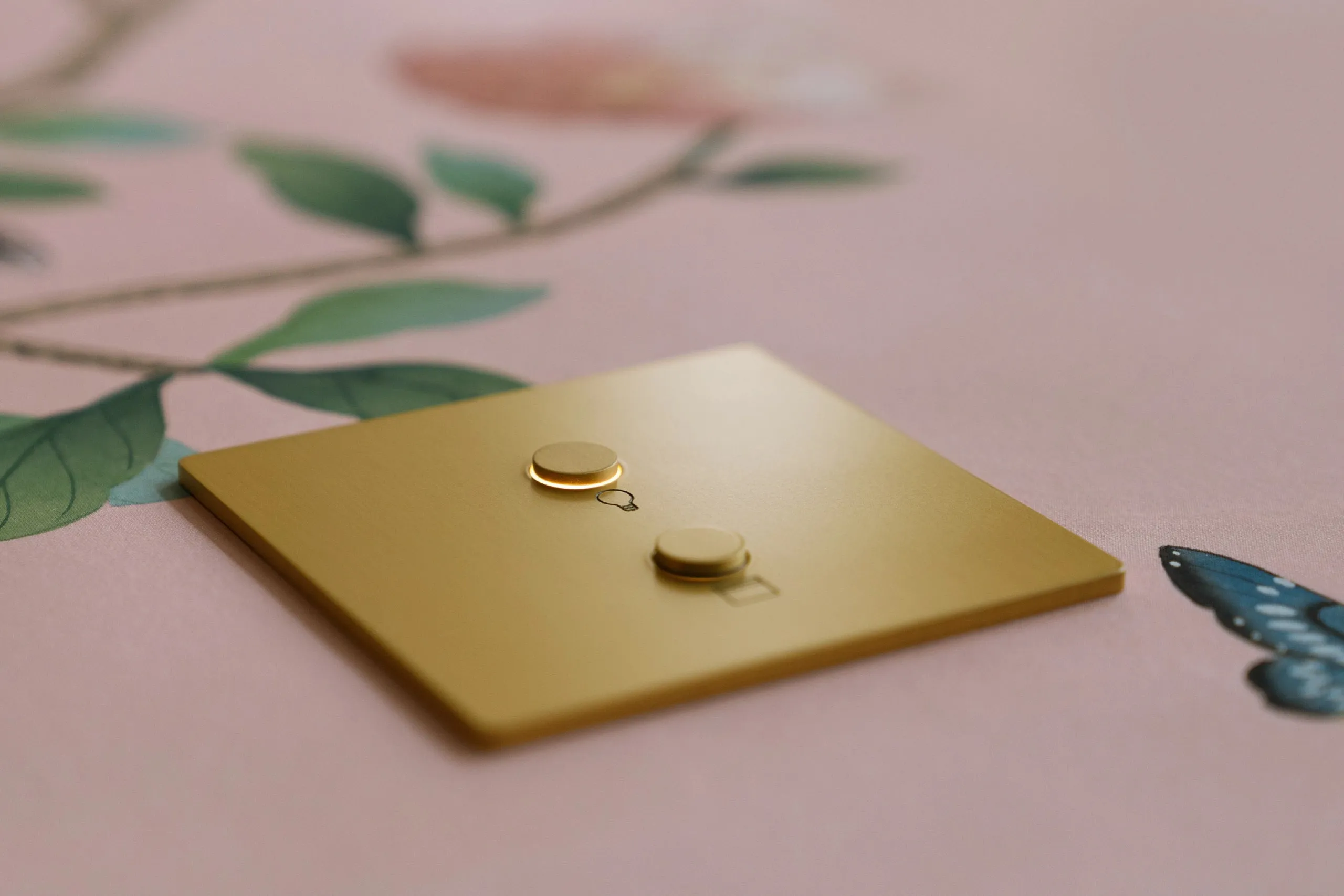 Gold two-button lighting keypad mounted on pink floral wallpaper with a blue butterfly motif.